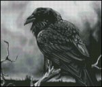 (image for) Just Raven